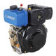 Diesel Engine from China (mainland)