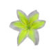 Artificial Flowers from Hong Kong SAR