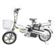 Electric Bike from China (mainland)