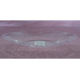Disposable Bowl from China (mainland)