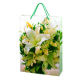 Paper Gift Bag from China (mainland)