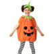 Pumpkin Costume from China (mainland)