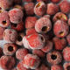 Frozen Hawthorn Berry from China (mainland)