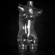 Clear Mannequin from China (mainland)