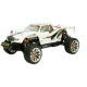 RC car from China (mainland)