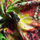 Knitting fabric from China (mainland)