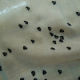 Satin Flocked Fabric from China (mainland)