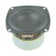 Speaker from China (mainland)