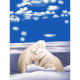 100% polyester polar fleece blankets from China (mainland)