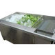 Vegetable washer machine from China (mainland)