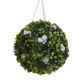 Dogwood Ball from China (mainland)