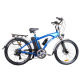 Electric Vehicle from China (mainland)