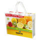 Nonwoven Bag from China (mainland)