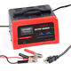 Battery Charger from China (mainland)