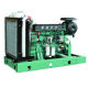 Diesel Engine from China (mainland)