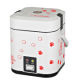 Electric rice cooker from China (mainland)