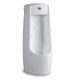 Vertical Urinal from China (mainland)