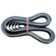 V Ribbed Belt from China (mainland)