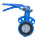 Butterfly Valves from China (mainland)