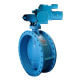 Butterfly Valve from China (mainland)