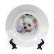 Plate from China (mainland)