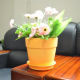 Round Ceramic Pots from China (mainland)