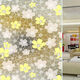 Etched Glass from China (mainland)