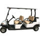 Electric Golf Cart from China (mainland)