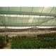 Greenhouse plastic sunshade net from China (mainland)