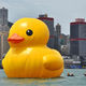 Advertising inflatable rubber duck balloon from China (mainland)