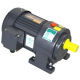 Small AC Gear Motor from China (mainland)
