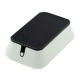 Induction Speaker from China (mainland)