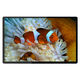 LCD Module from China (mainland)