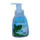 250mL No Rinse Antibacterial Hand Sanitizer Foam Manufacturers