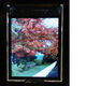 TFT LCD Module Manufacturers