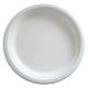 Biodegradable Dinnerware Manufacturers