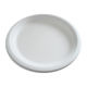 Biodegradable Dinnerware Manufacturers