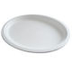 Middle Oval Plate Manufacturers
