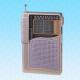 Portable AM/FM/SW1-7 9-Band Radio Manufacturers