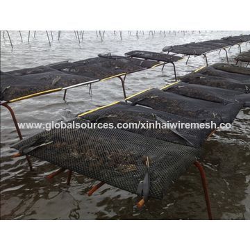 Oyster Farming Mesh Fishing Net Oyster Bag - China Oyster Mesh Bag