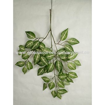 Simulated Monstera Leaf Fake Vine Plant for Home Decoration Mini Hanging  Plant - China Artificial Monstera Leaves and Artificial Leaves price