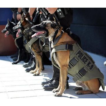 Buy China Wholesale Bpv k9 Model Dog Bulletproof Vest k9 Officer Kevlar Vests Nij Iiia Protection Level Dog Bulletproof Vest 140 Globalsources