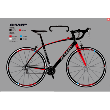 Camp carbon road bike online