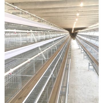 China Frame Automatic Breeder Chicken Cage Birds Cage For Sale On