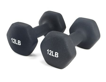 20 lb dumbbells for sale