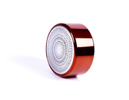 fire alarm bluetooth speaker