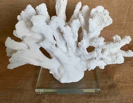 White Branch Coral Sculpture Centerpiece For Aquarium Desk Decor