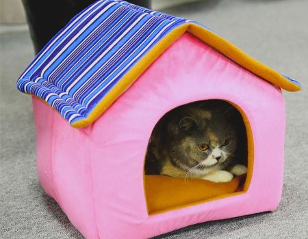 portable cat house