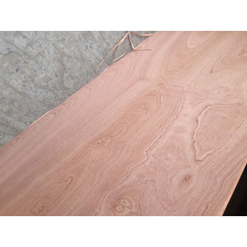 China Sapele Faced Plywood Eucalyptus Core 6 18mm On Global Sources