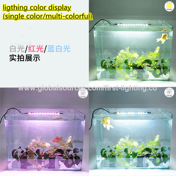 Lumière D'aquarium LED En Matière Plastique, Lumière D'aquarium